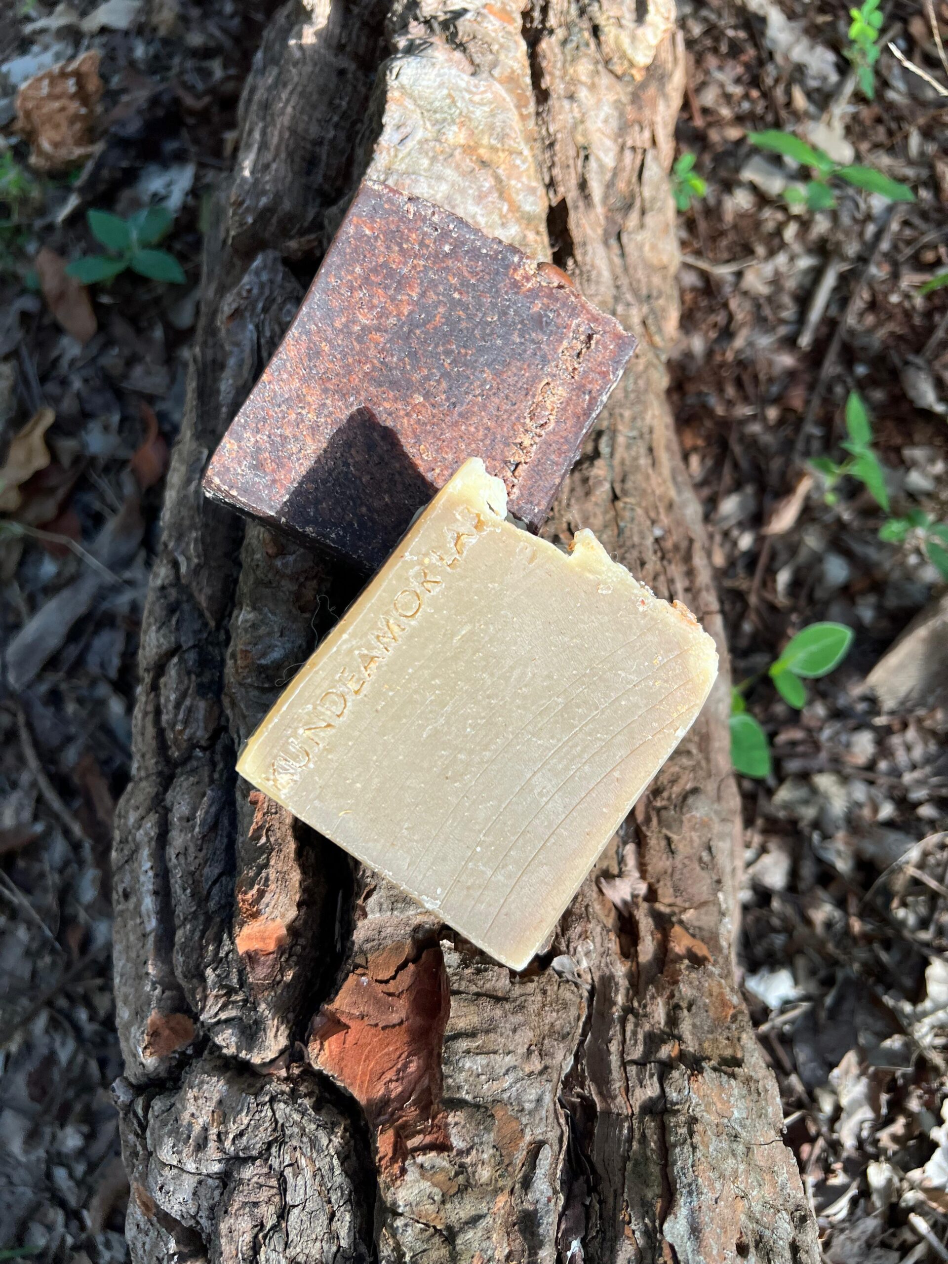 Natural wellness products